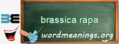 WordMeaning blackboard for brassica rapa